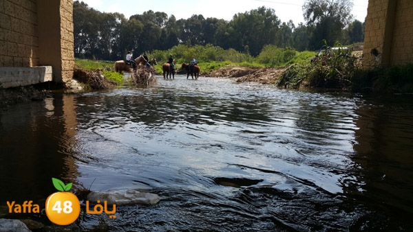 roben tabee3ar (28).JPG